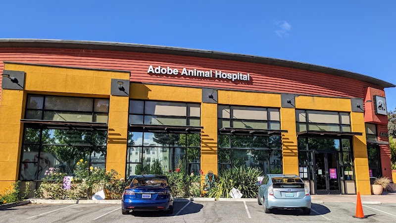 Adobe Animal Hospital exterior