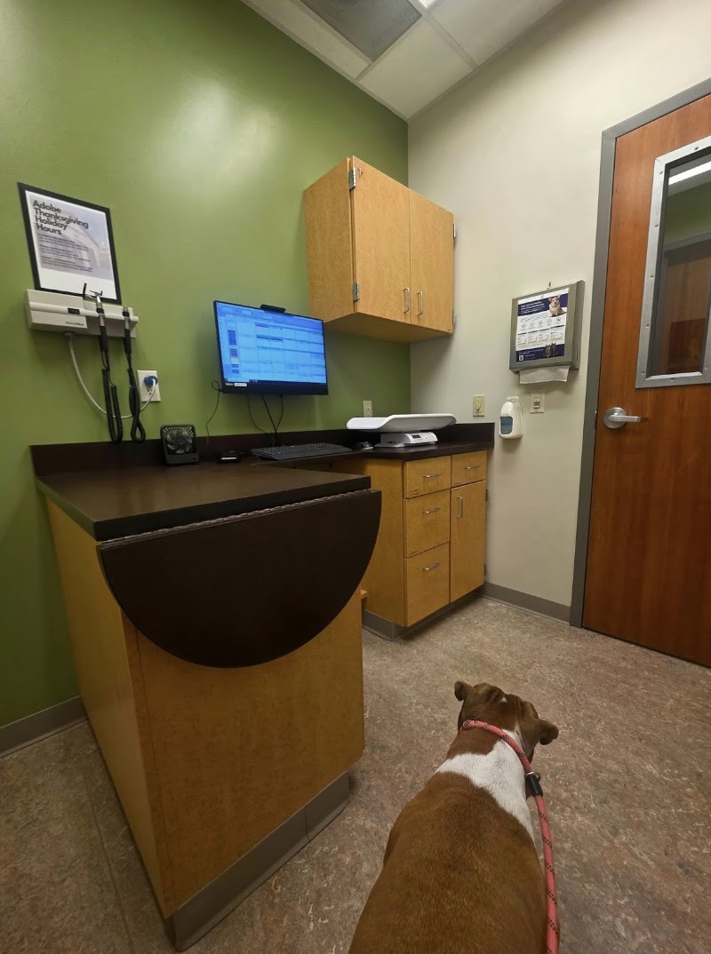 Calm exam room visit
