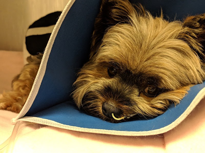 Recovery with gentle comfort
