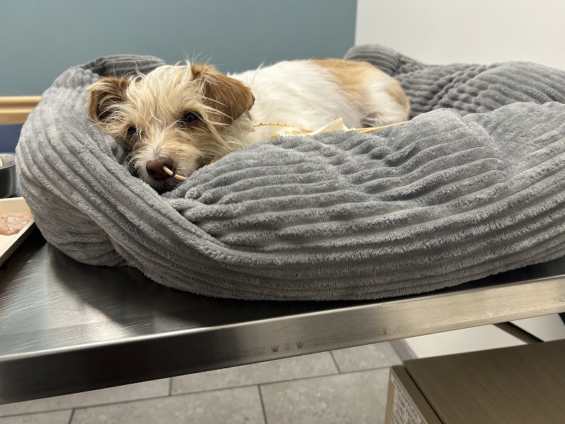 Resting comfortably after care