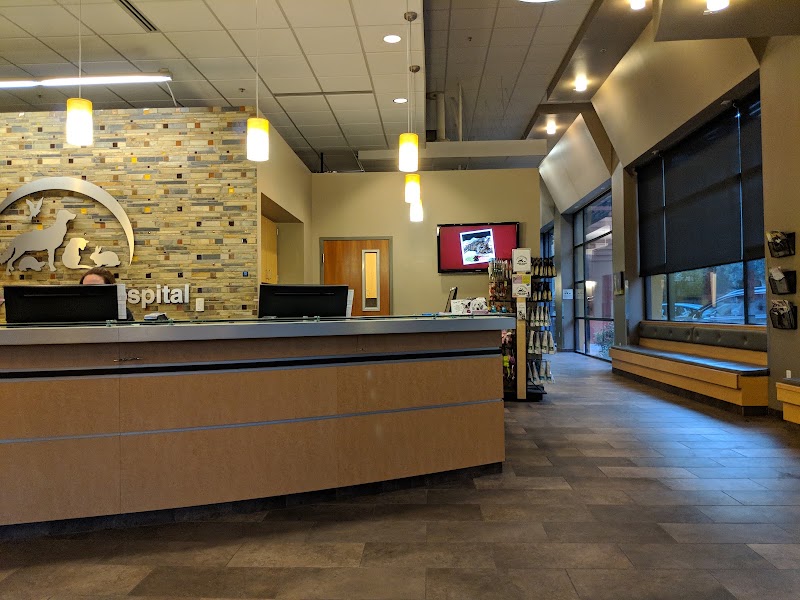 Warm, welcoming reception area