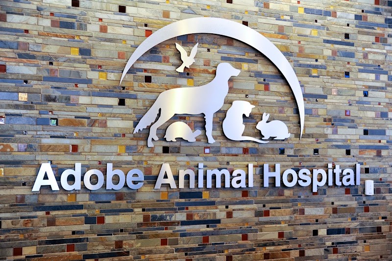 Adobe Los Altos