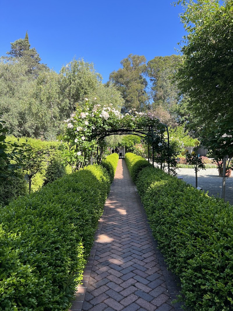 Hedge-lined garden walkway