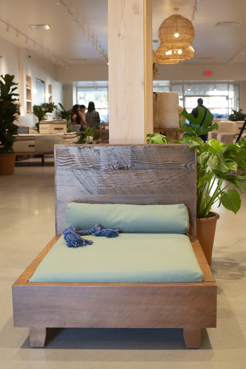 Organic pet bed display