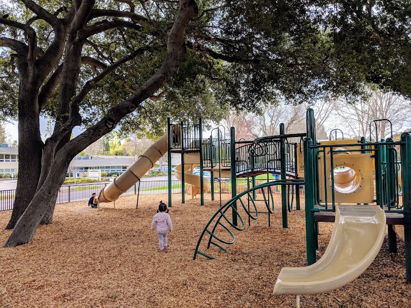 Kids' playground under oak canopy