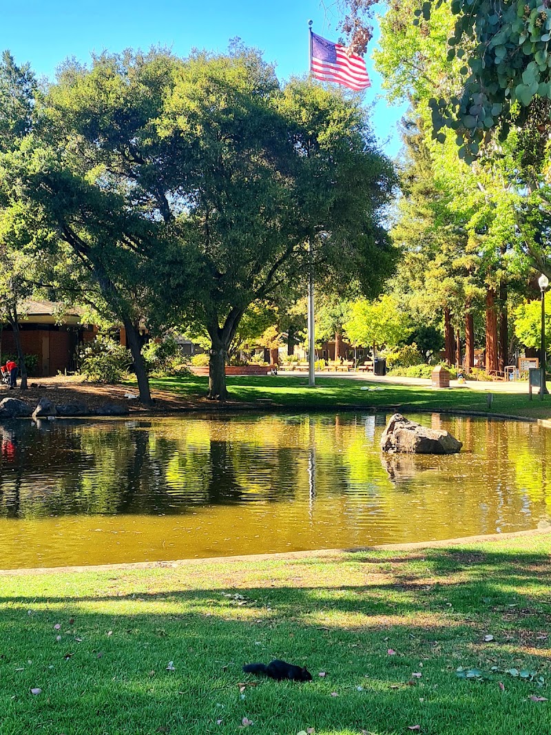 Peaceful pond, lush greenery