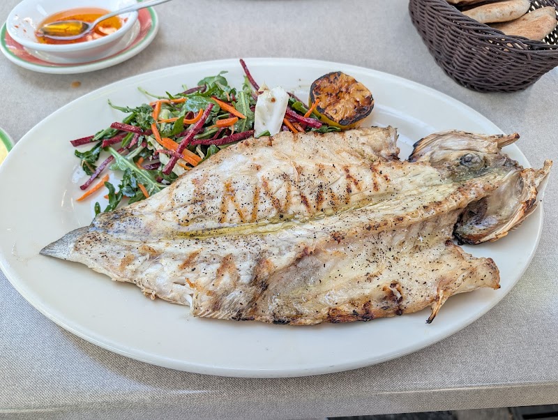 Grilled fish with fresh salad
