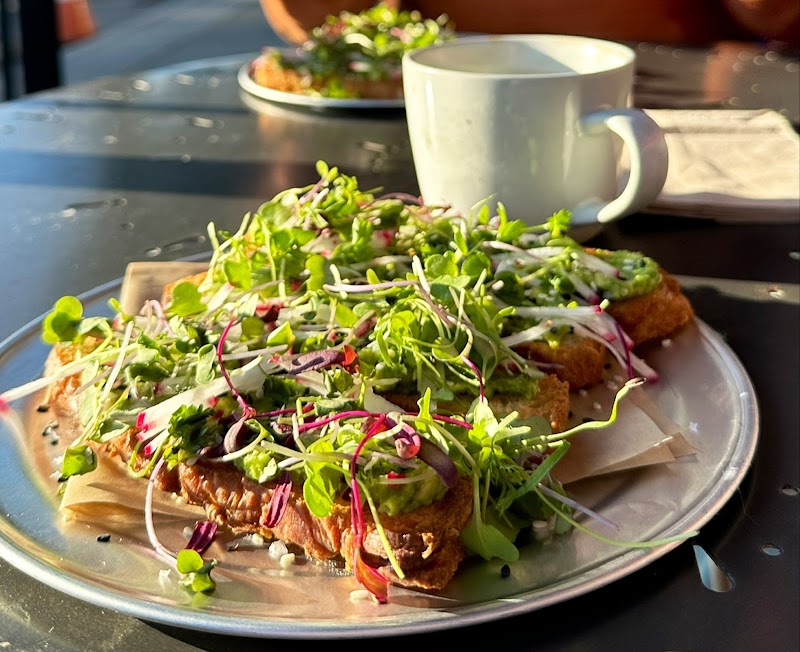 Fresh avocado open sandwich