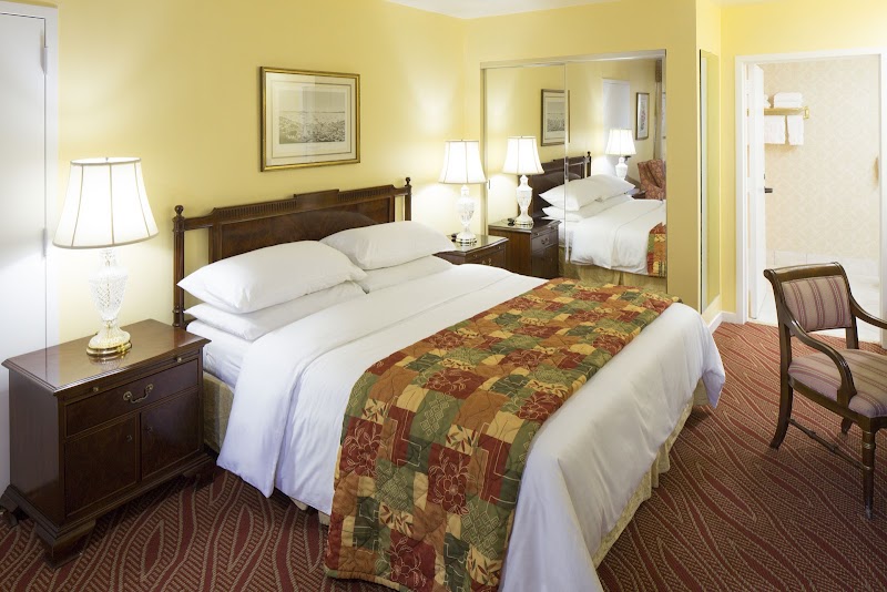 Comfortable, well-appointed guest room