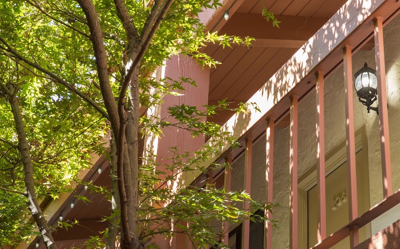 Tree-shaded courtyard balcony