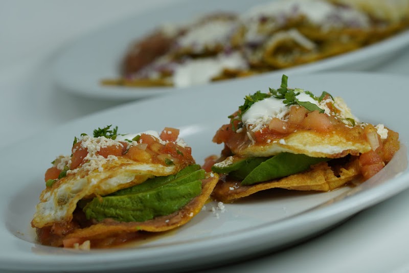 Fresh avocado tostada bites