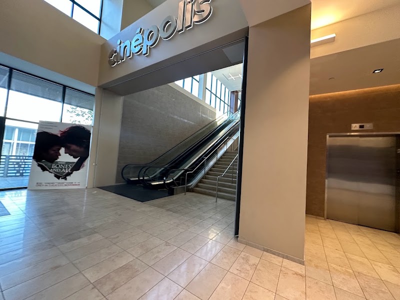 Escalator to the screens