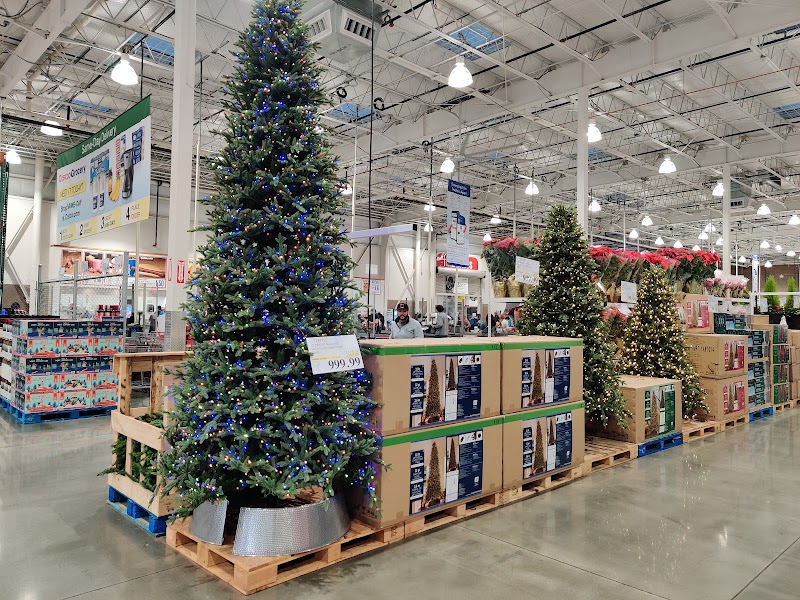 Holiday trees on display