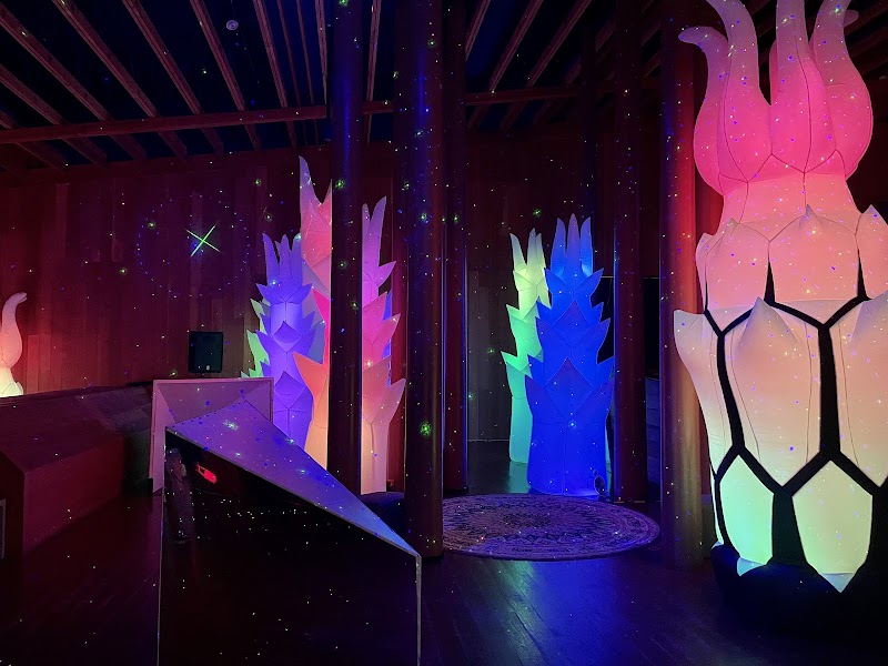 Glowing immersive light exhibit