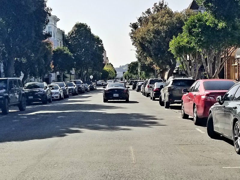 Tree-lined San Francisco street
