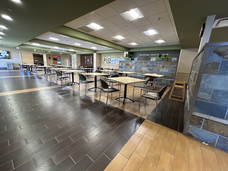 Bright patient dining area