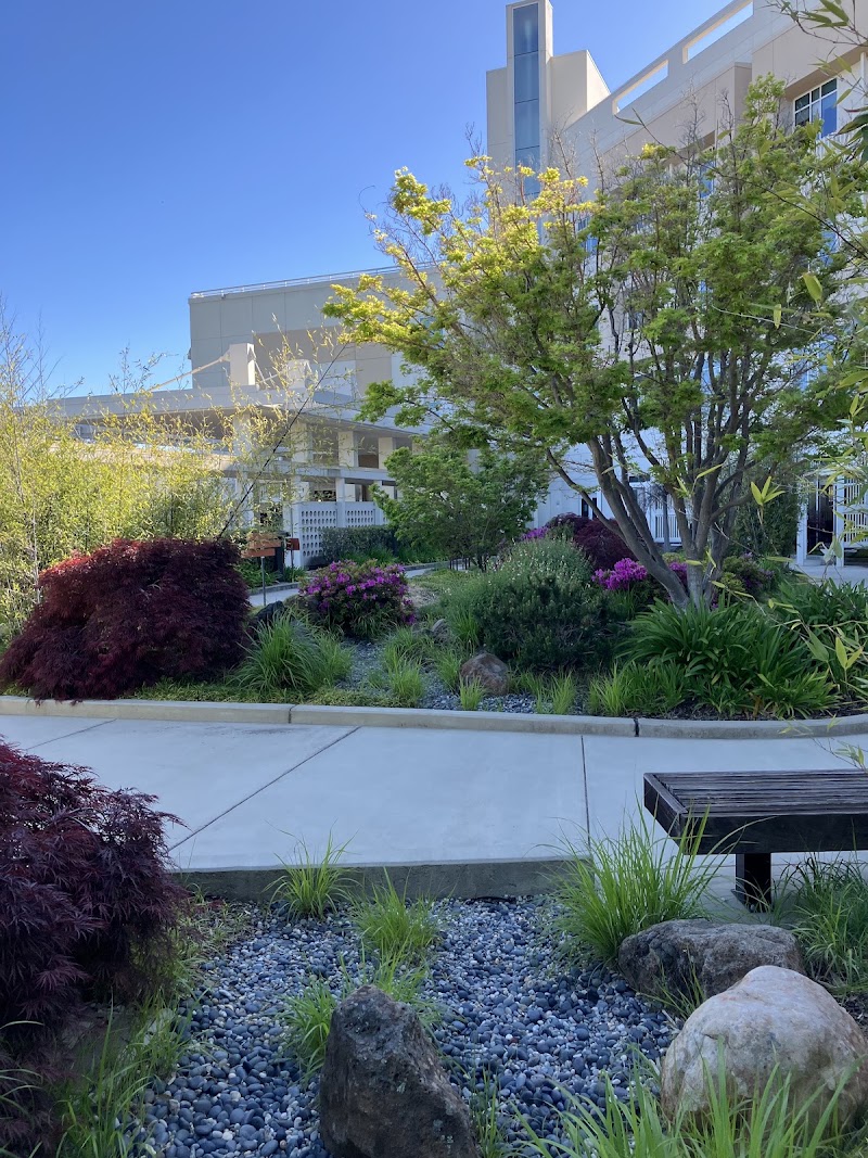 Peaceful healing garden retreat