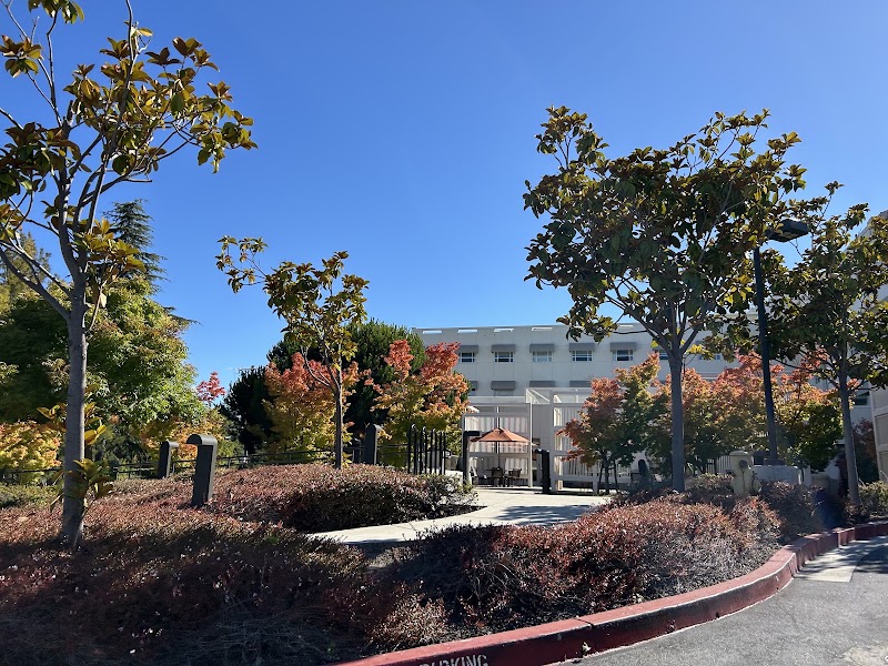 Peaceful tree-lined grounds