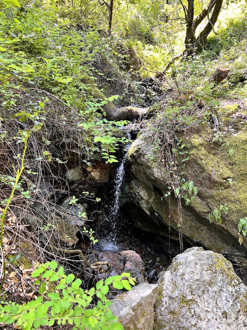 Hidden waterfall in forest