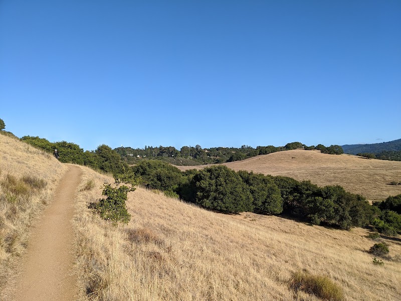 Open trail, golden hillside
