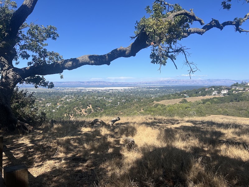 Ridge views across the Bay