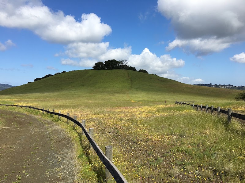 Edgewood Park & Natural Preserve