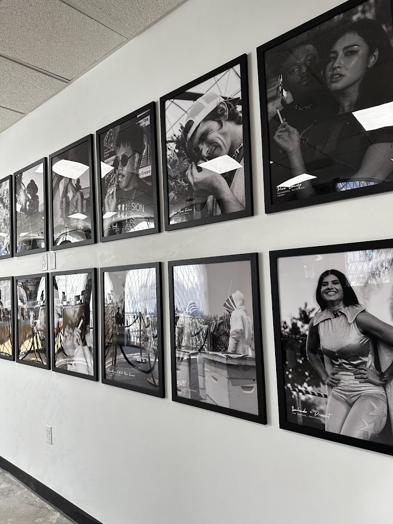 Cannabis culture gallery wall