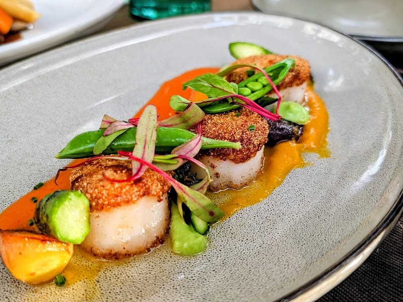 Seared scallops, vibrant garnish