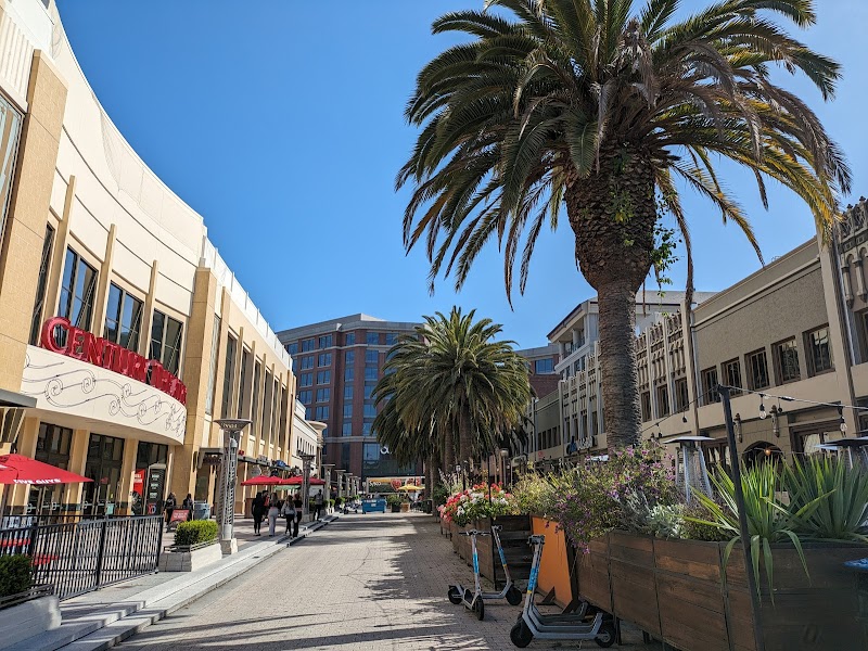 Vibrant downtown Redwood City