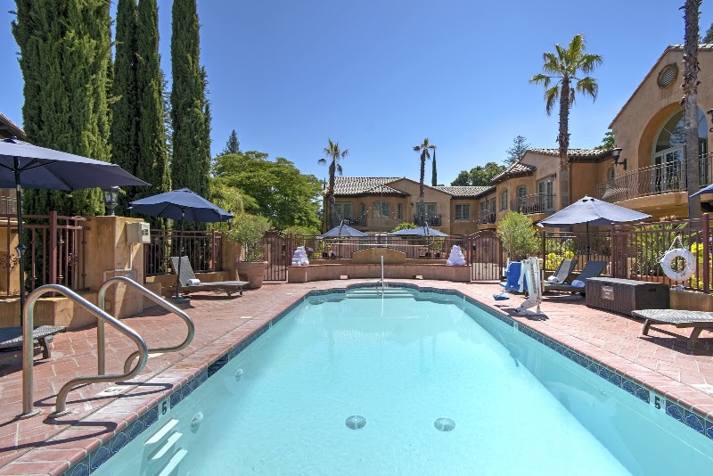 Sparkling pool, cypress backdrop