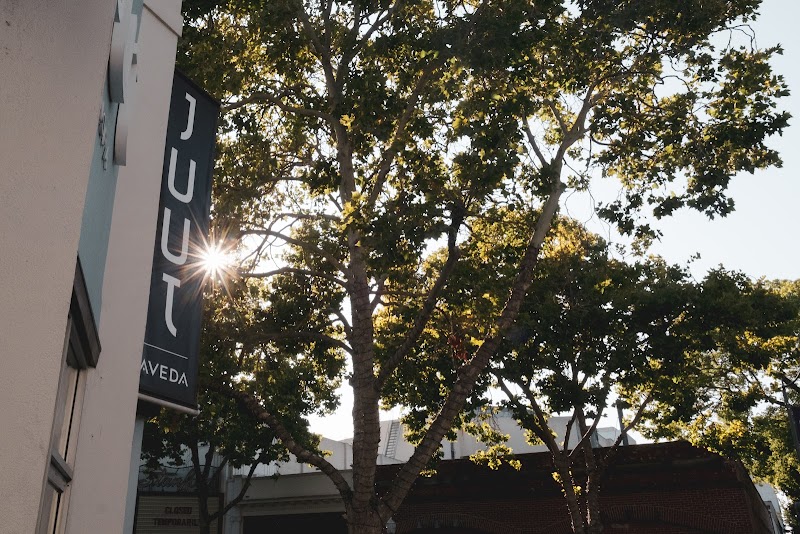 Sunlit storefront, tree-lined street