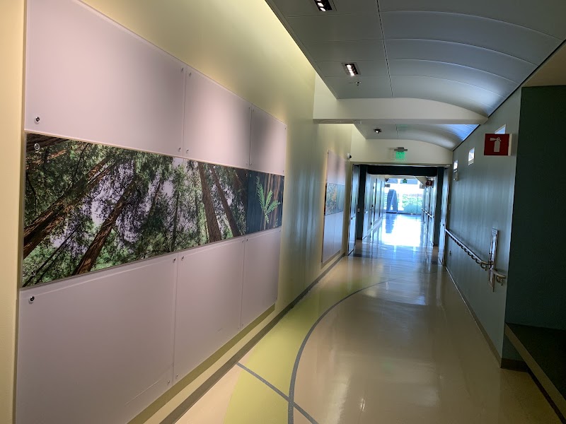 Calm, nature-inspired patient corridor