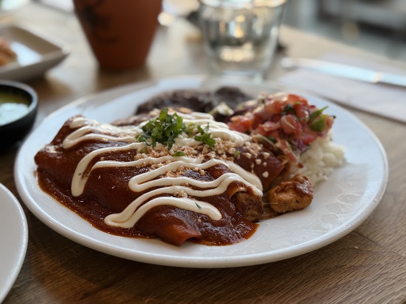 Rich mole enchiladas plate