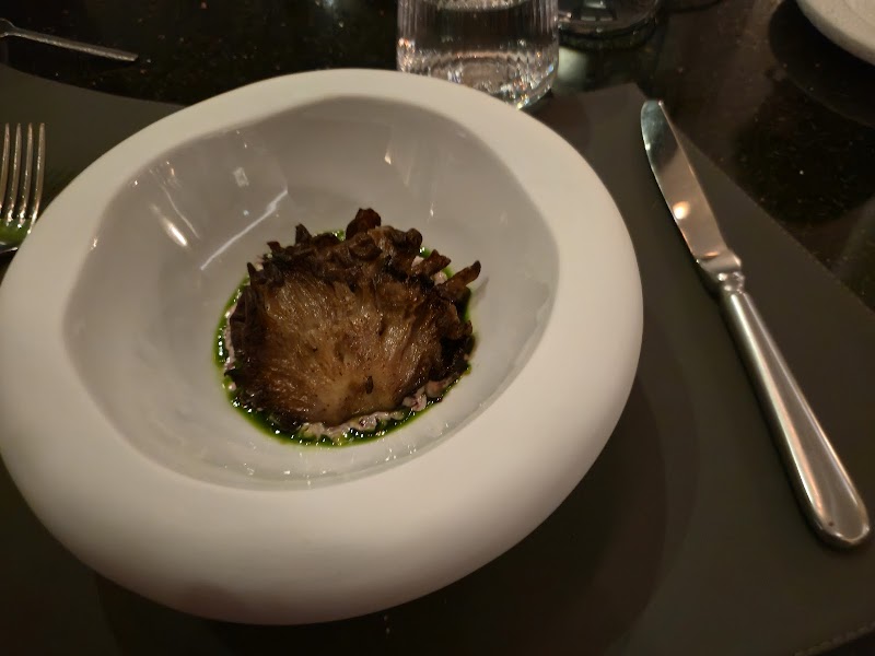 Roasted artichoke, forest mushrooms