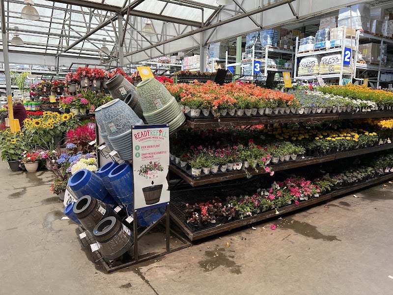 Garden center in full bloom