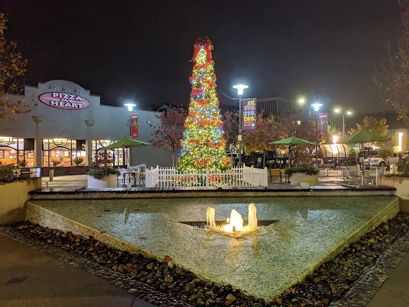 Holiday tree lights fountain