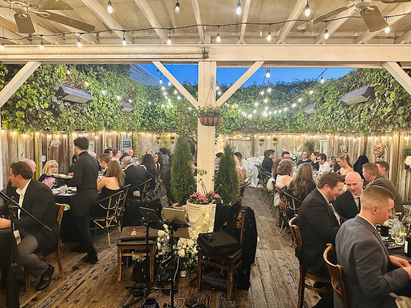 Evening reception under string lights