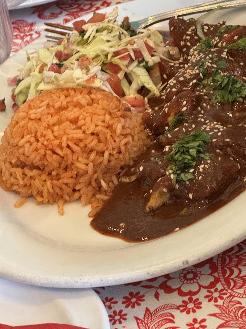 Mole enchiladas, Mexican rice