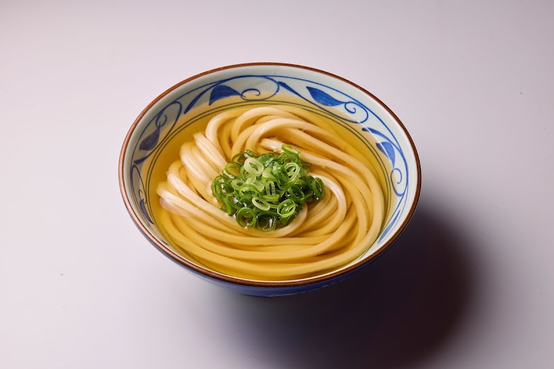 Classic udon, clean simplicity