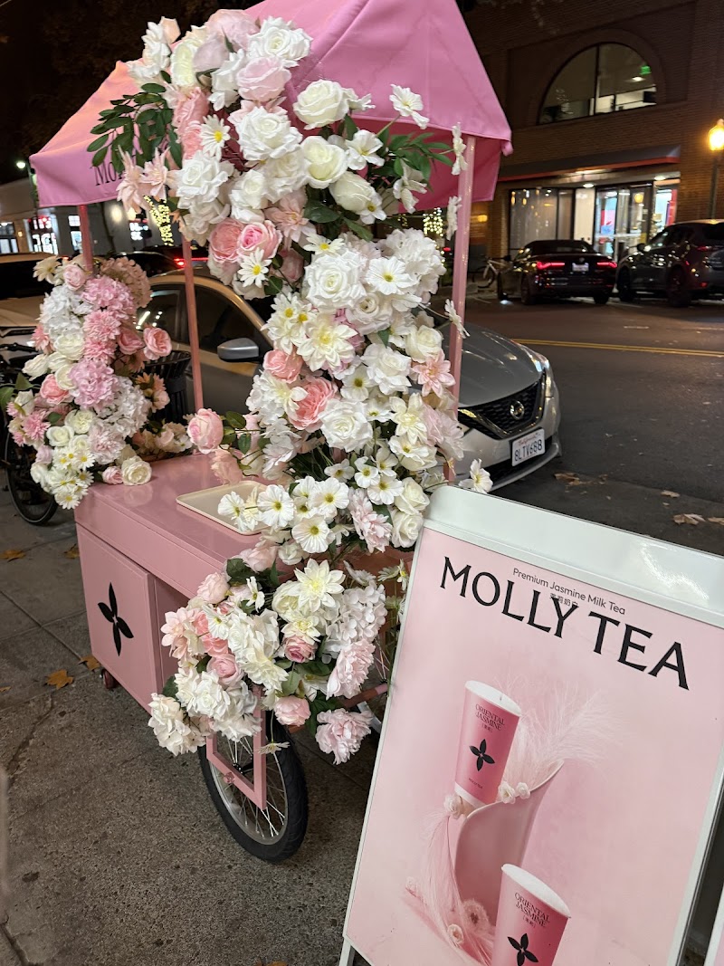 Floral pink street cart