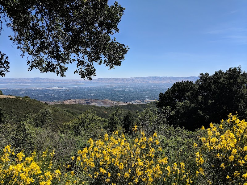 Bay views from the summit