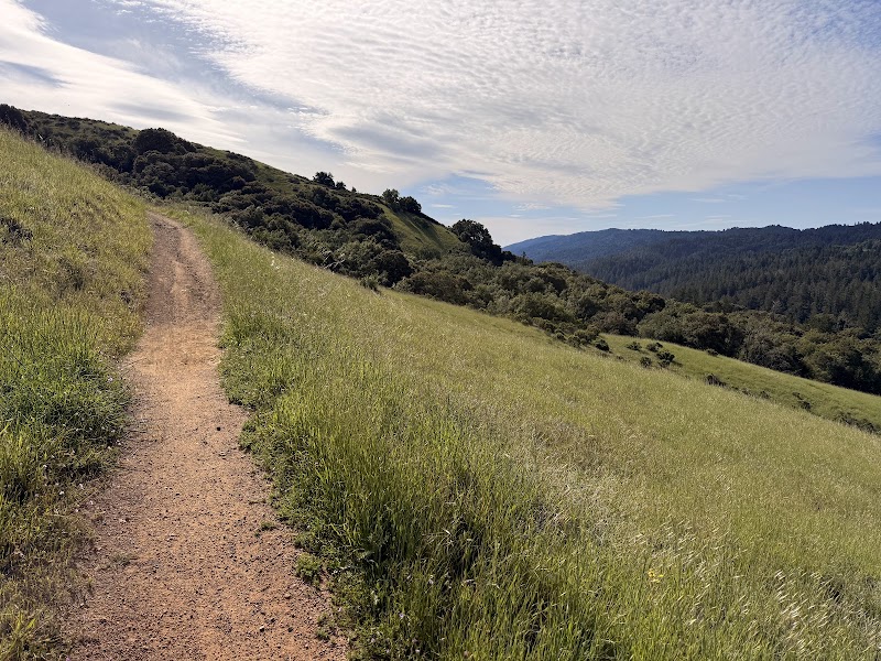 Well-kept trail through grasslands