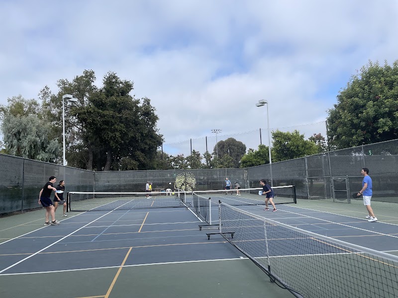 Pickleball courts in action