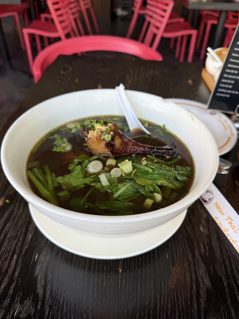 Rich duck noodle soup