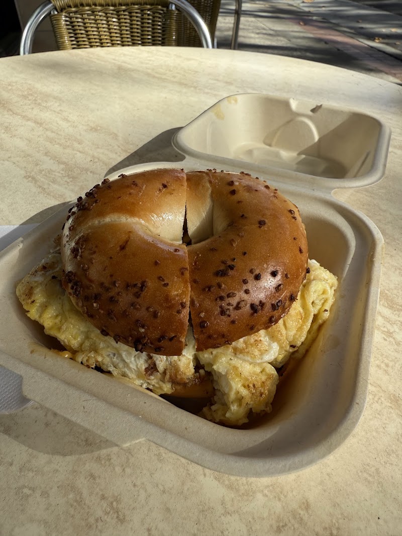 Fresh-made bagel egg sandwich