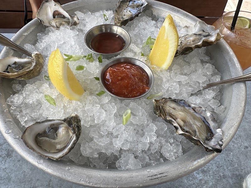 Chilled oysters on ice