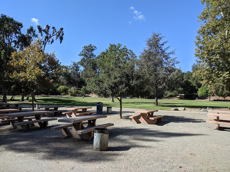 Open meadow picnic grounds