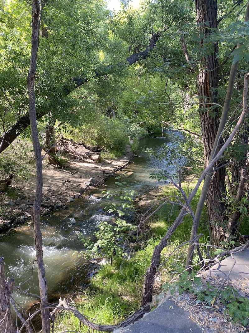 Peaceful creekside nature path