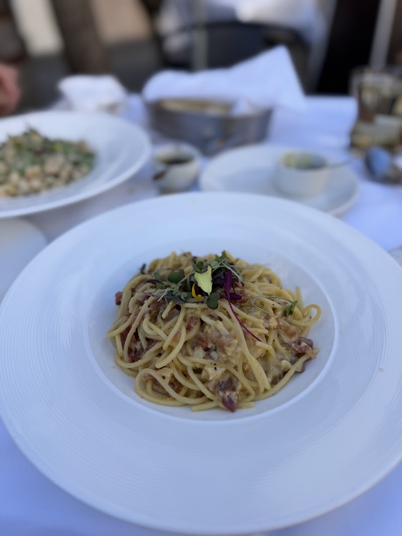 Classic spaghetti carbonara, plated