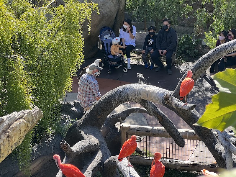 Birds and families gathered